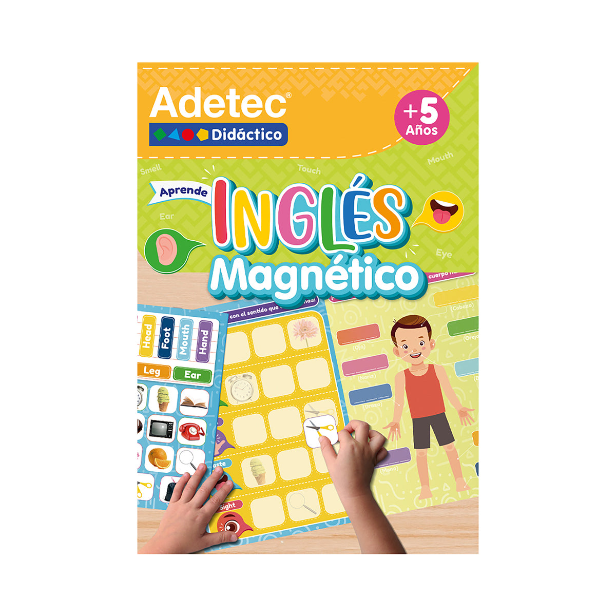 Lámina Mag Interactiva - Inglés C/Lápiz